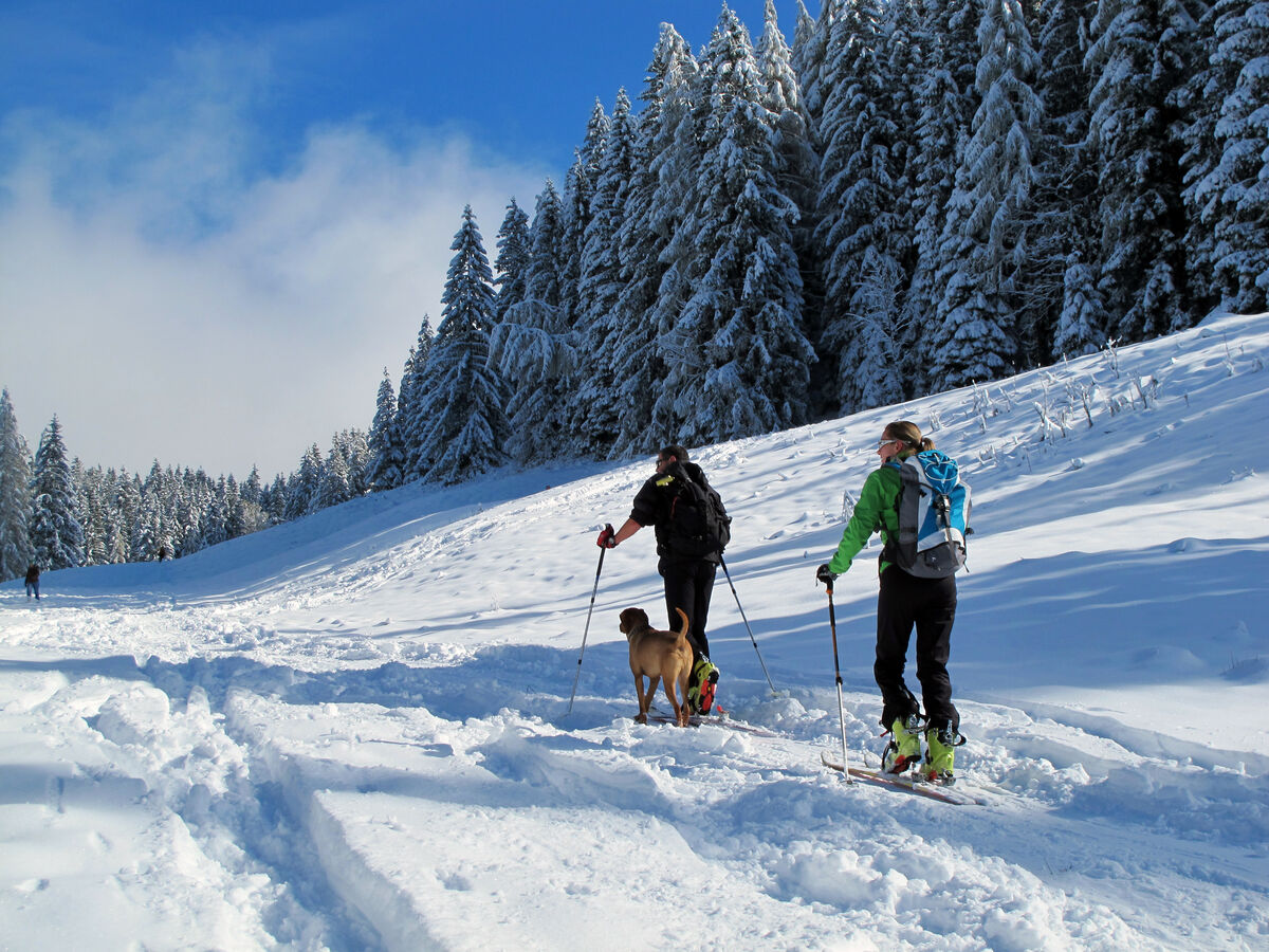Zapraszamy na I SKI-TOUR Szczyrk – Skrzyczne