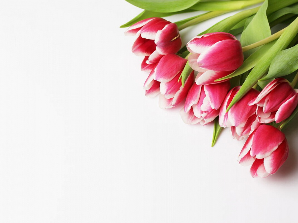 Życzenia z okazji Międzynarodowego Dnia Pielęgniarki i Położnej