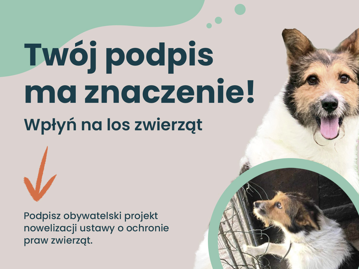 ŚIL włącza się w akcję „Stop łańcuchom, pseudohodowlom i bezdomności zwierząt”