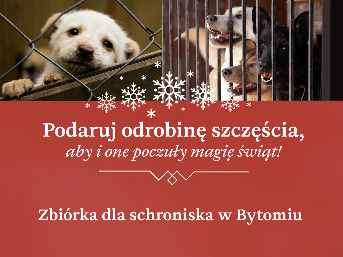 Zbiórka dla schroniska 