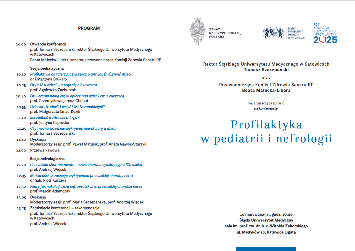 zrzut ekranu 2025 02 13 152524