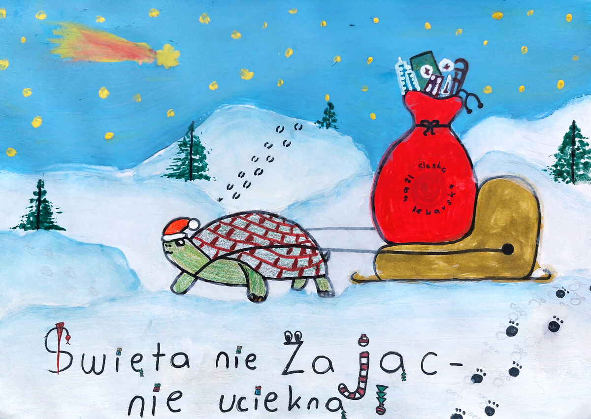 karolina poledniok 11