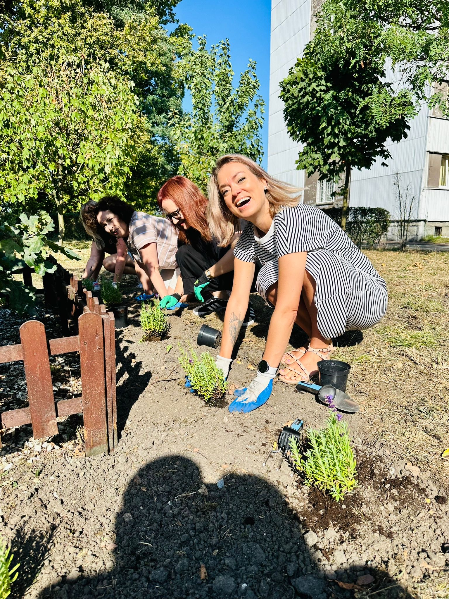 Lawendowy ogródek ŚIL