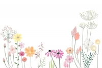 VI Wiosenna Konferencja Internistyczna