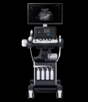 Podstawy USG w ortopedii - najczęstsze patologie stawu skokowego, kolanowego, barkowego i łokciowego